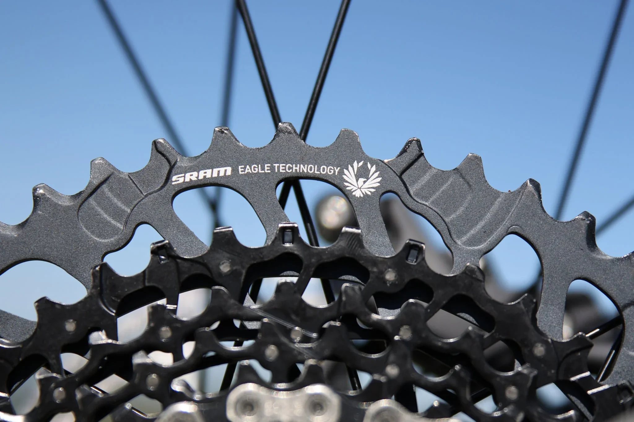 Fairdale Elevator 29″ Hardtail MTB - Gloss Battleship Gray - Image 10