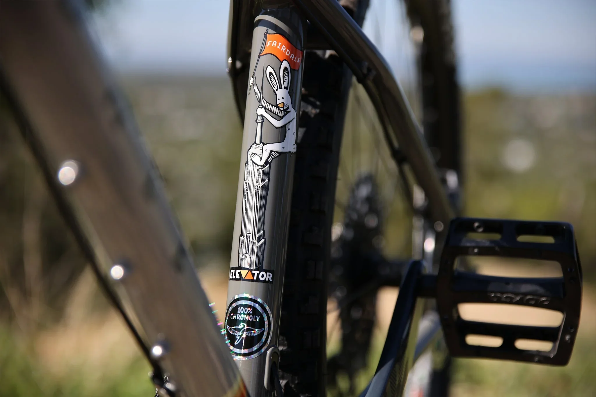 Fairdale Elevator 29″ Hardtail MTB - Gloss Battleship Gray - Image 6