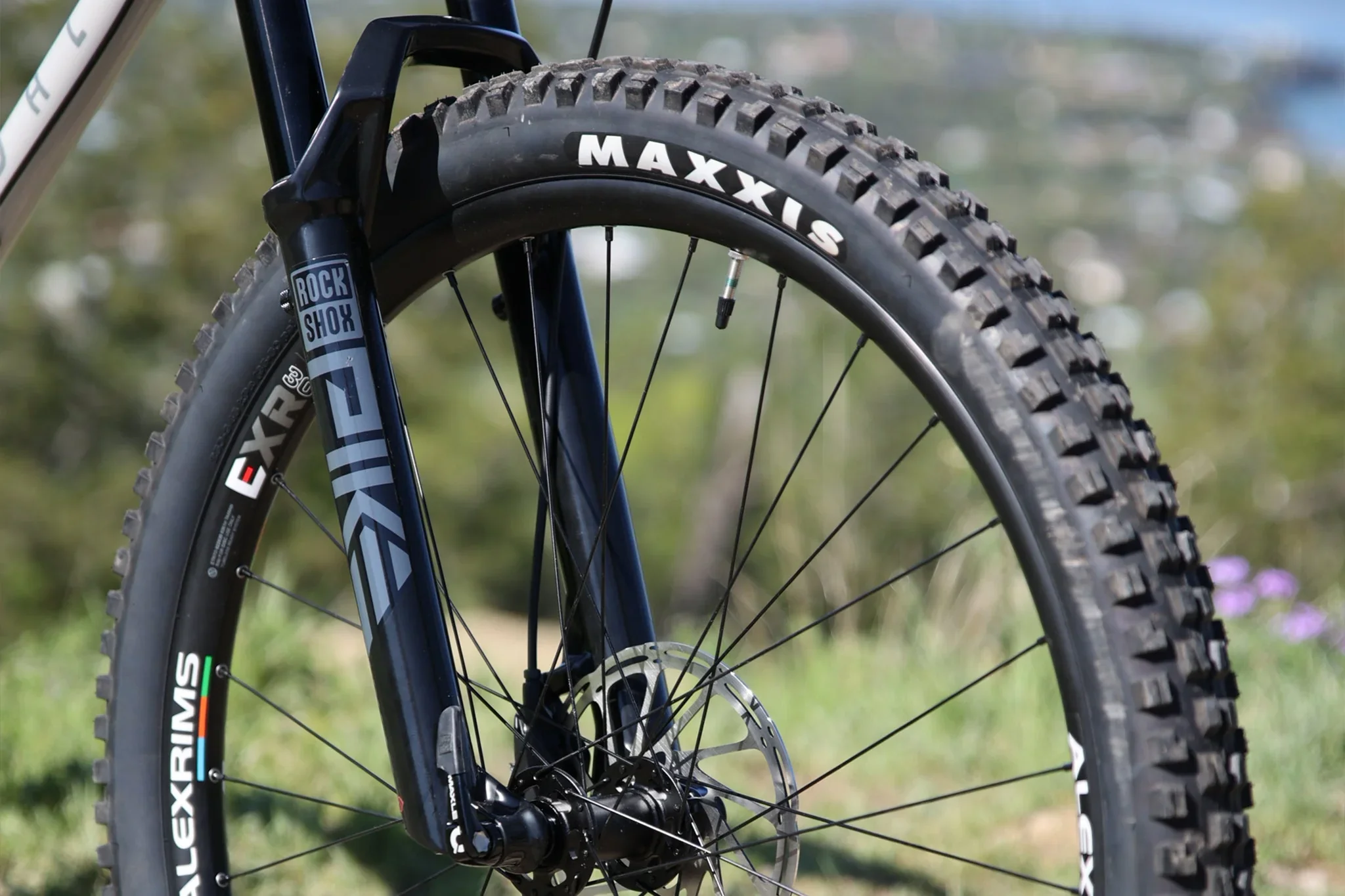Fairdale Elevator 29″ Hardtail MTB - Gloss Battleship Gray - Image 7