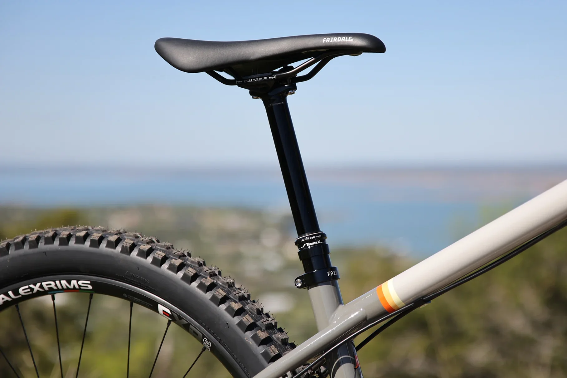 Fairdale Elevator 29″ Hardtail MTB - Gloss Battleship Gray - Image 8