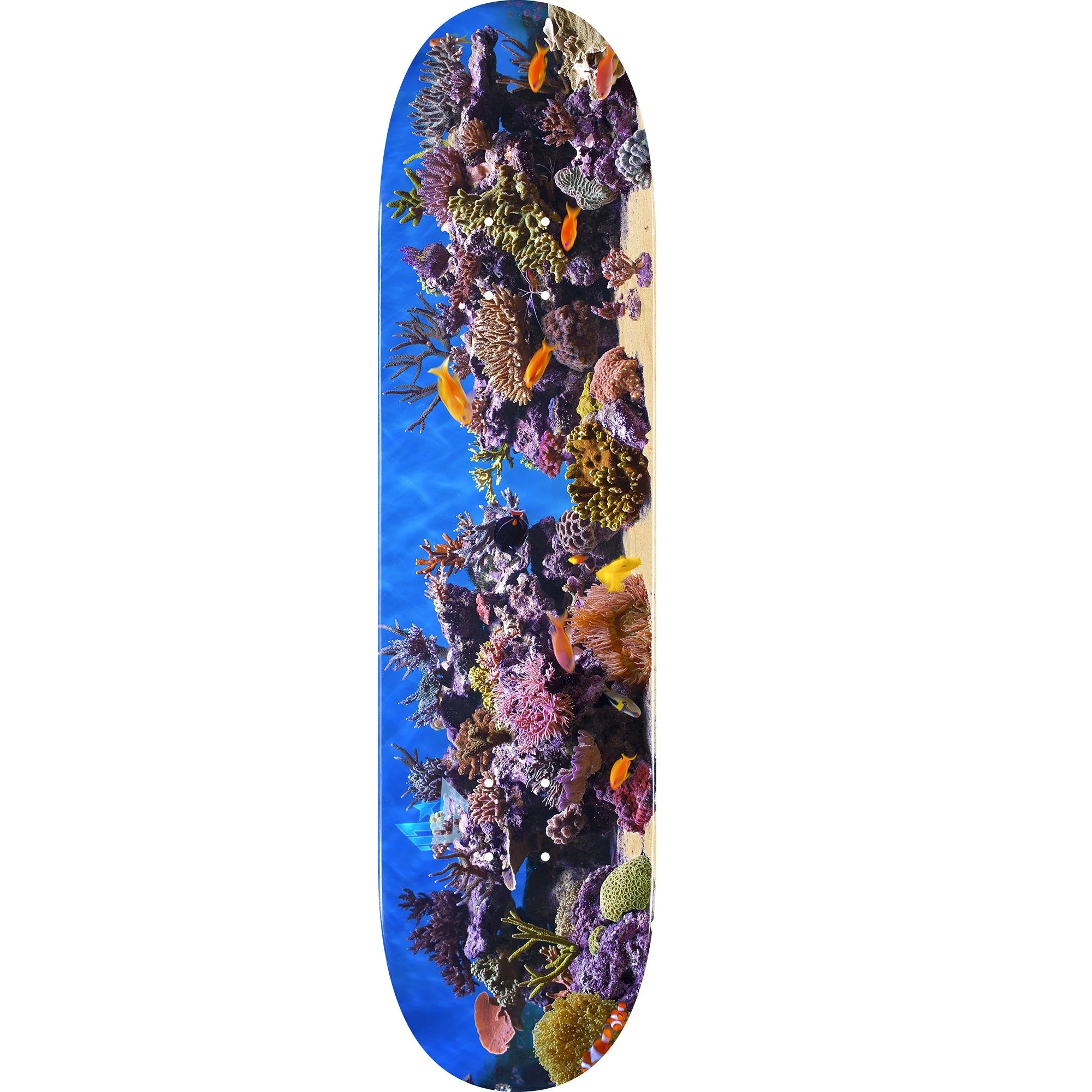 Mini Logo Fish Tank ″18″ Skateboard Deck 244 - 8.5″